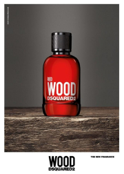 Dsquared2 Red Wood EDT 50ml για γυναίκες Γυναικεία αρώματα