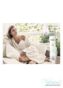 Elizabeth Arden White Tea Cream Deodorant 40ml για γυναίκες Γυναικεία προϊόντα για πρόσωπο και σώμα