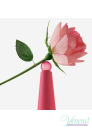 Issey Miyake L'Eau D'Issey Rose & Rose EDP 25ml για γυναίκες Γυναικεία Аρώματα