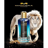 Mancera Aoud Blue Notes EDP 120ml για άνδρες και Γυναικες ασυσκεύαστo Unisex Аρώματα χωρίς συσκευασία