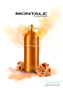 Montale Aoud Melody EDP 100ml για άνδρες και Γυναικες Unisex αρώματα