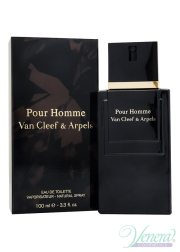 Van Cleef & Arpels Pour Homme EDT 100ml για άνδρες Ανδρικά Αρώματα