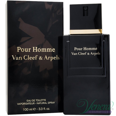 Van Cleef & Arpels Pour Homme EDT 100ml για άνδρες Ανδρικά Αρώματα