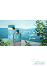 Dolce&Gabbana Light Blue Forever pour Homme EDP 100ml για άνδρες Ανδρικά Аρώματα