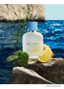 Dolce&Gabbana Light Blue Eau de Toilette 2025 EDT 100ml για άνδρες Ανδρικά Αρώματα