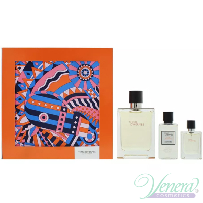 Hermes Terre D'Hermes Set (EDT 100ml + EDT 12.5ml + After Save Balm 40ml) for Men Αρσενικά Σετ