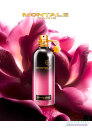 Montale Oud Fool Roses EDP 100ml για άνδρες και Γυναικες ασυσκεύαστo Unisex Аρώματα χωρίς συσκευασία