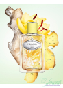 Prada Infusion de Gingembre EDP 100ml για άνδρες και Γυναικες ασυσκεύαστo Unisex Аρώματα χωρίς συσκευασία