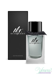 Burberry Mr. Burberry EDT 150ml for Men Men's Fragrances