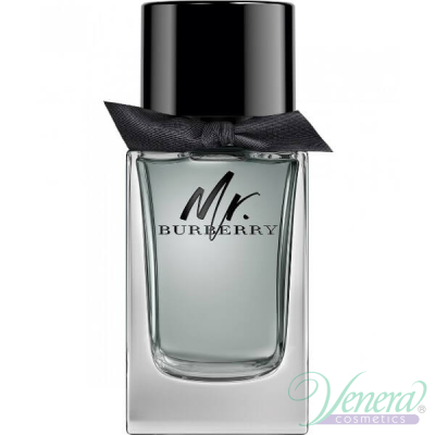 Burberry Mr. Burberry EDT 100ml for Men Without Package Men's Fragrances without package