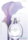 Calvin Klein Sheer Beauty Essence EDT 30ml for Women Women's Fragrance