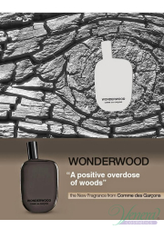 Comme des Garcons Wonderwood EDP 50ml για άνδρες Niche Fragrances