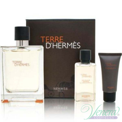 Hermes Terre D'Hermes Set (EDT 100ml + Shower Gel 40ml + After Save Balm 15ml) for Men Men's Gift sets