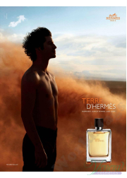 Hermes Terre D'Hermes EDT 100ml για άνδρες ασυσκεύαστo  Αρσενικά Αρώματα Χωρίς Συσκευασία