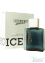 Iceberg Homme EDT 100ml for Men Without Package Men's face and body products
