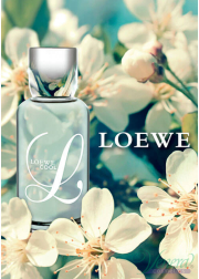 Loewe L Loewe Cool EDT 100ml για γυναίκες ασυσκ...